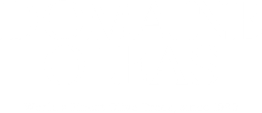 Domaine Oleas